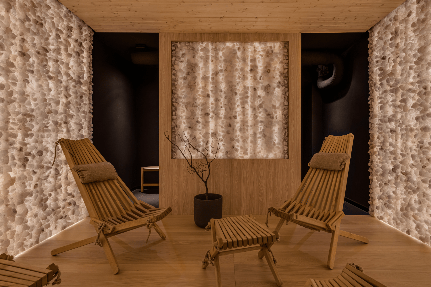 PLANTONIA - Vegan Hotel in Krakow