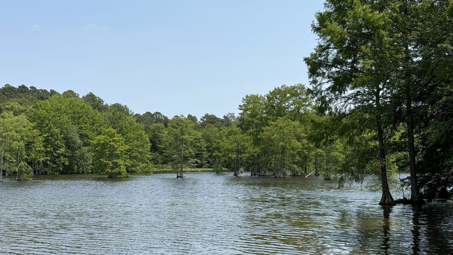 delaware-landscape-vegan-hotels-vegan-lifestyle (