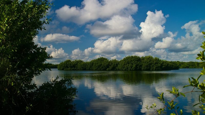 Florida-Landschaft