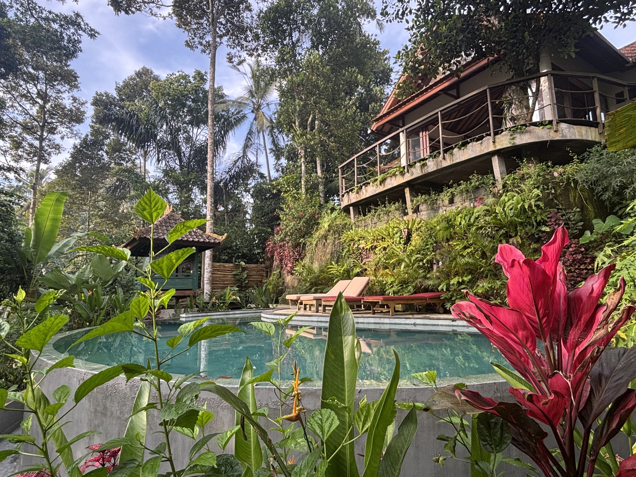 Villa with a swimming pool, sun loungers and tropical garden at Harmony Hill Bali