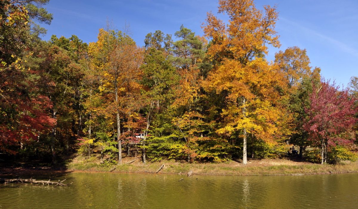 Iowa-Landschaft – vegane Hotels