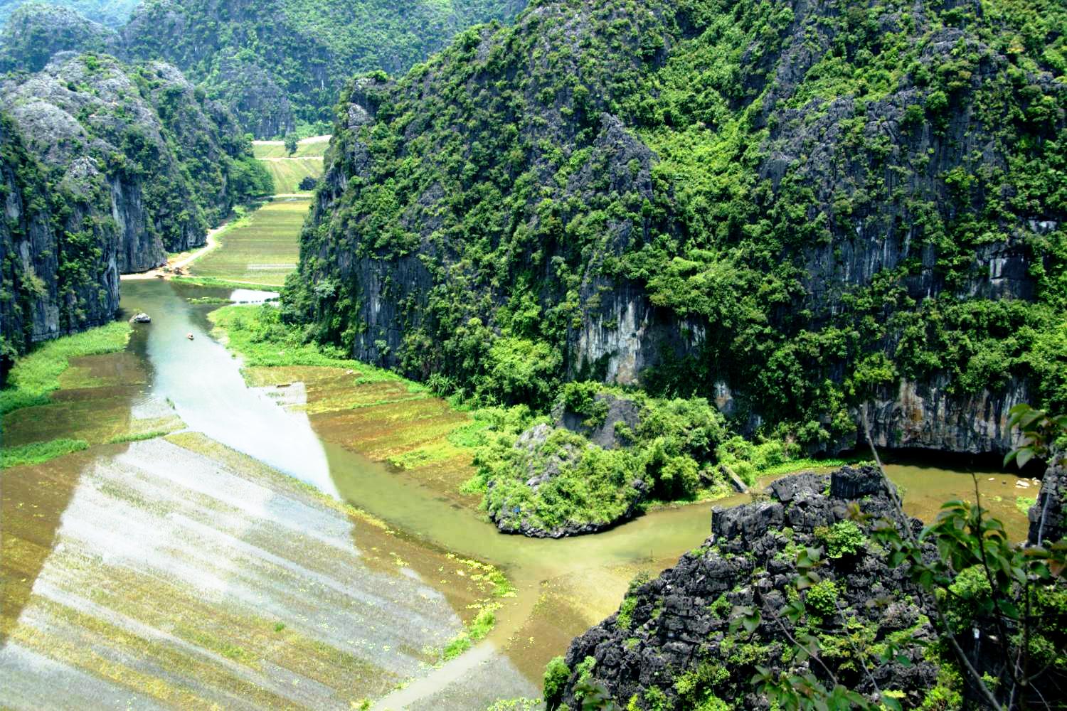 River and rice fields winding between limestone hills at Tam Coc in Vietnam