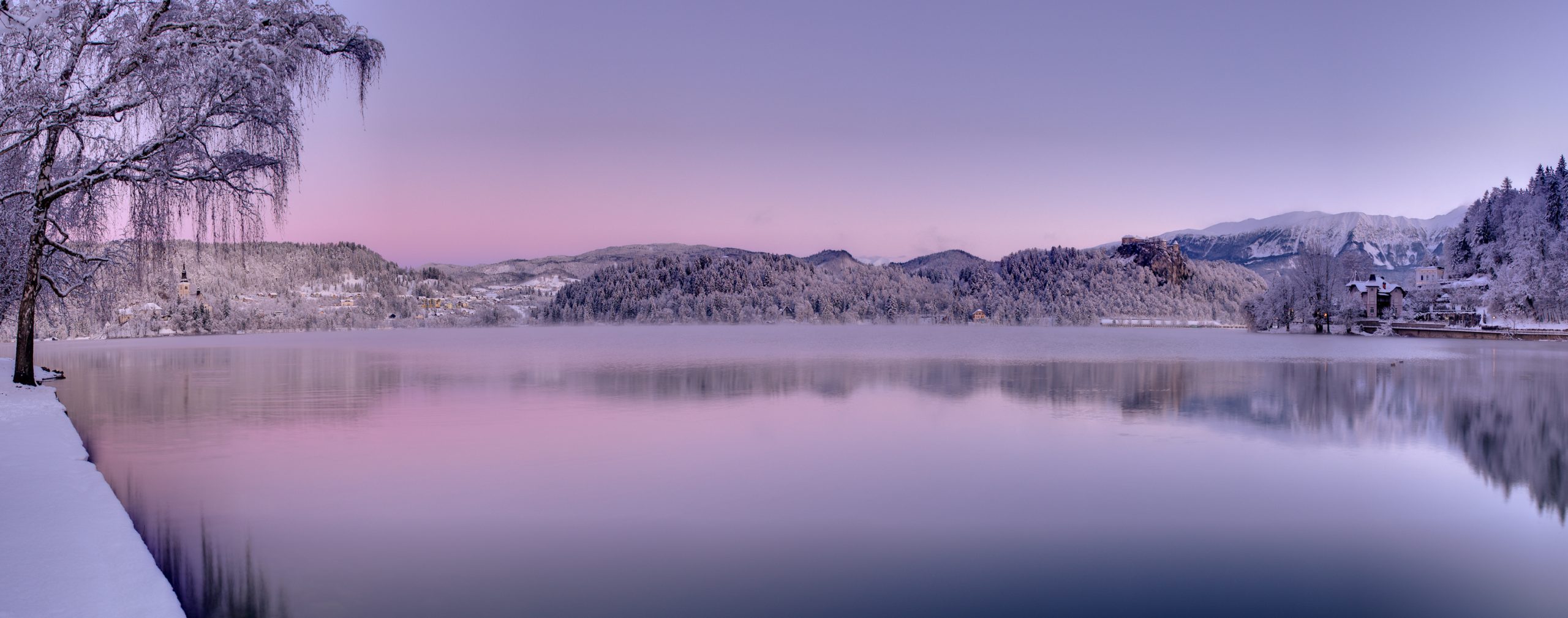 Winter dawn over Lake Bled, Slovenia, with snow-covered trees and pink reflections