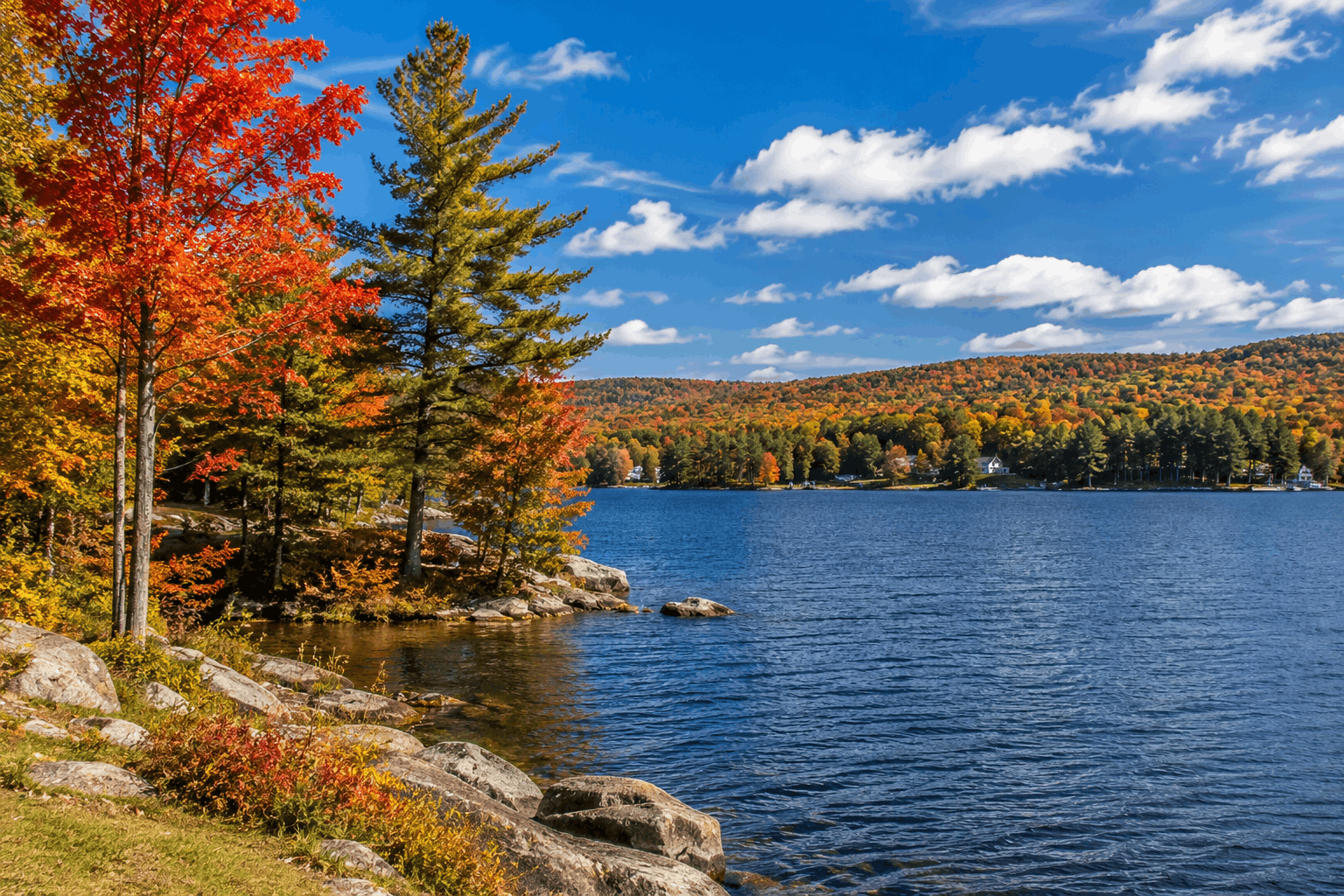 vegan-hotels-Wisconsin-vegan-lifetsyle