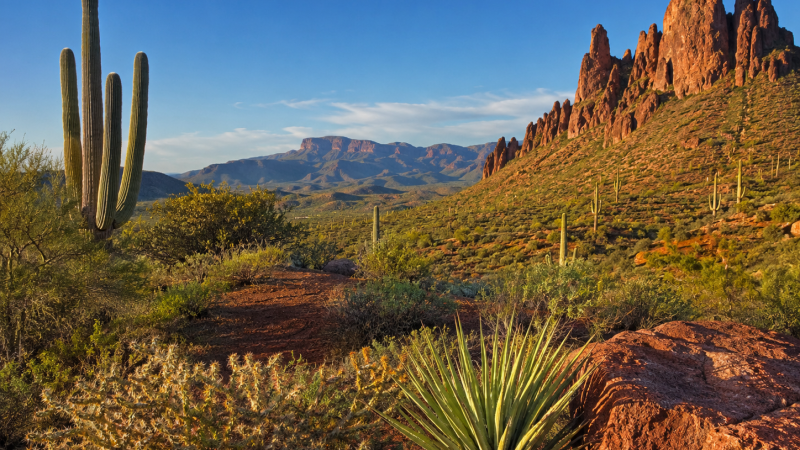 Illustrative Southwest landscape accompanying the New Mexico guide