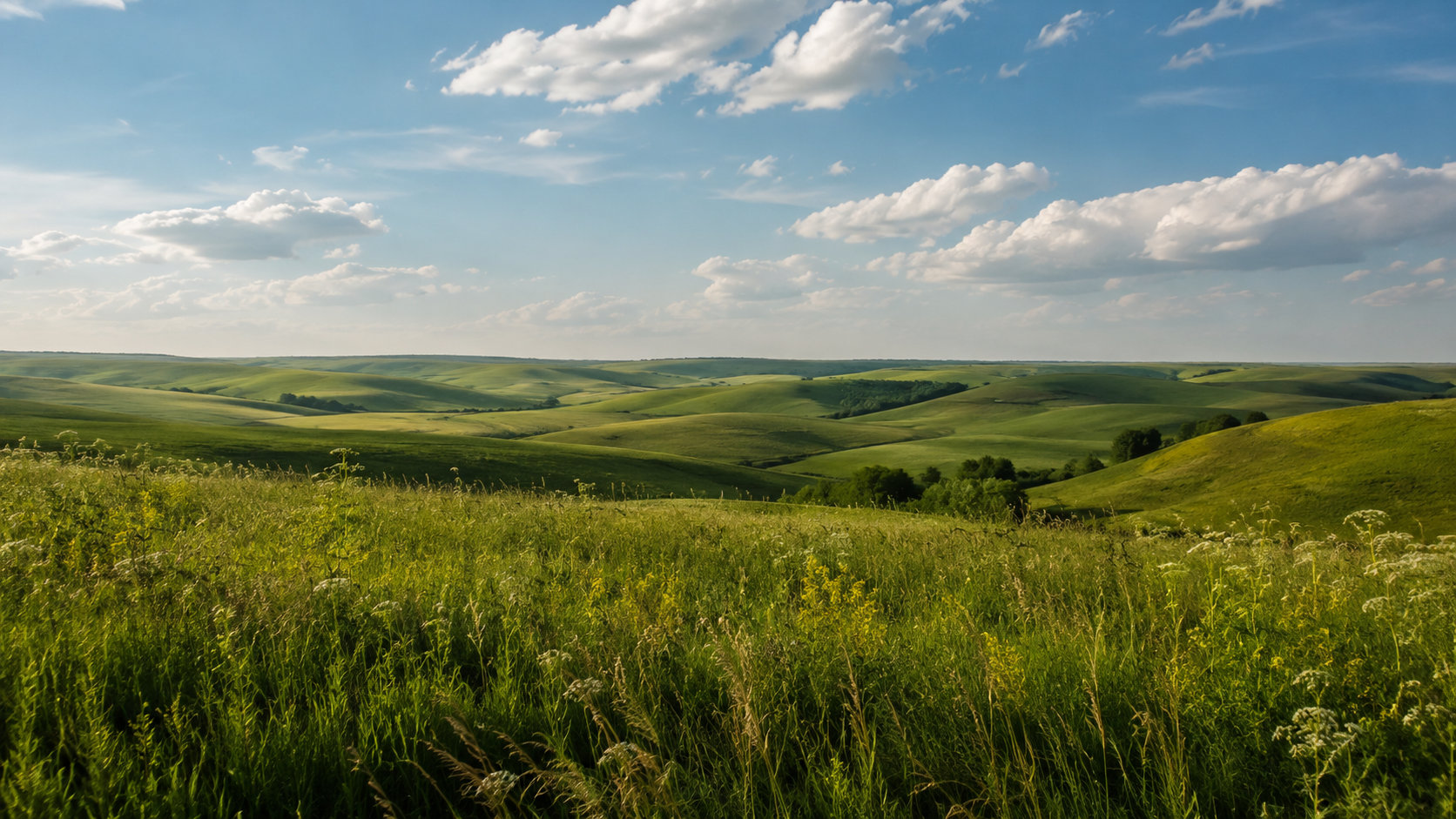 vegan-hotels-kansas-vegan-lifestyle-kansas-landscape-green