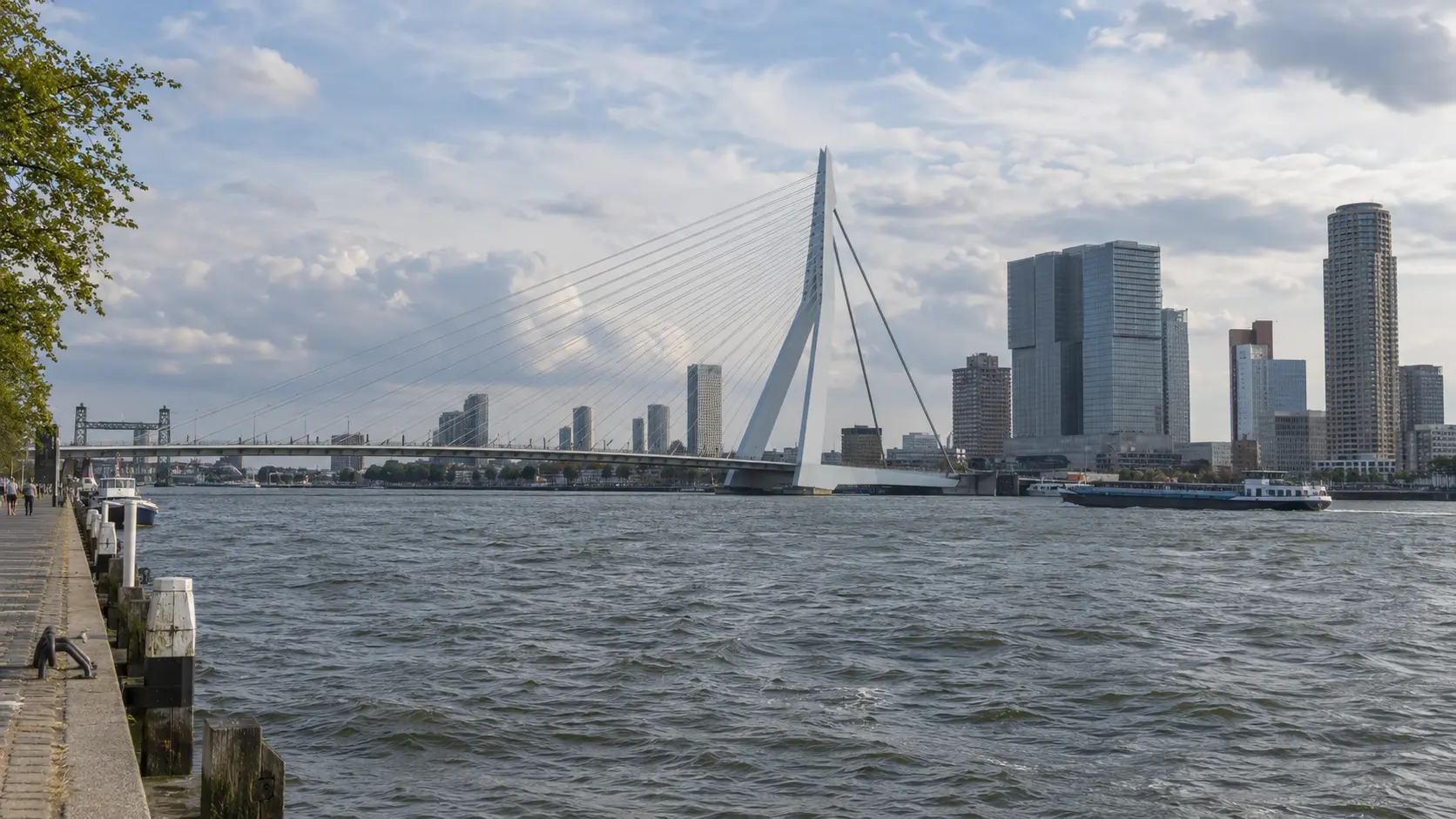 Illustrative Rotterdam skyline with the Erasmus Bridge and Nieuwe Maas