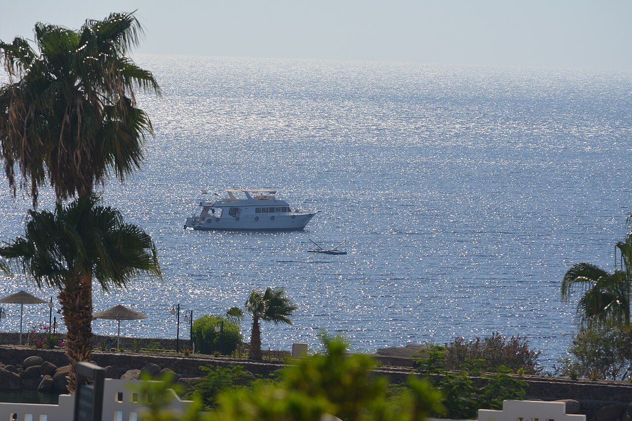 Palm trees and a boat on the sunlit Red Sea at Sharm el-Sheikh